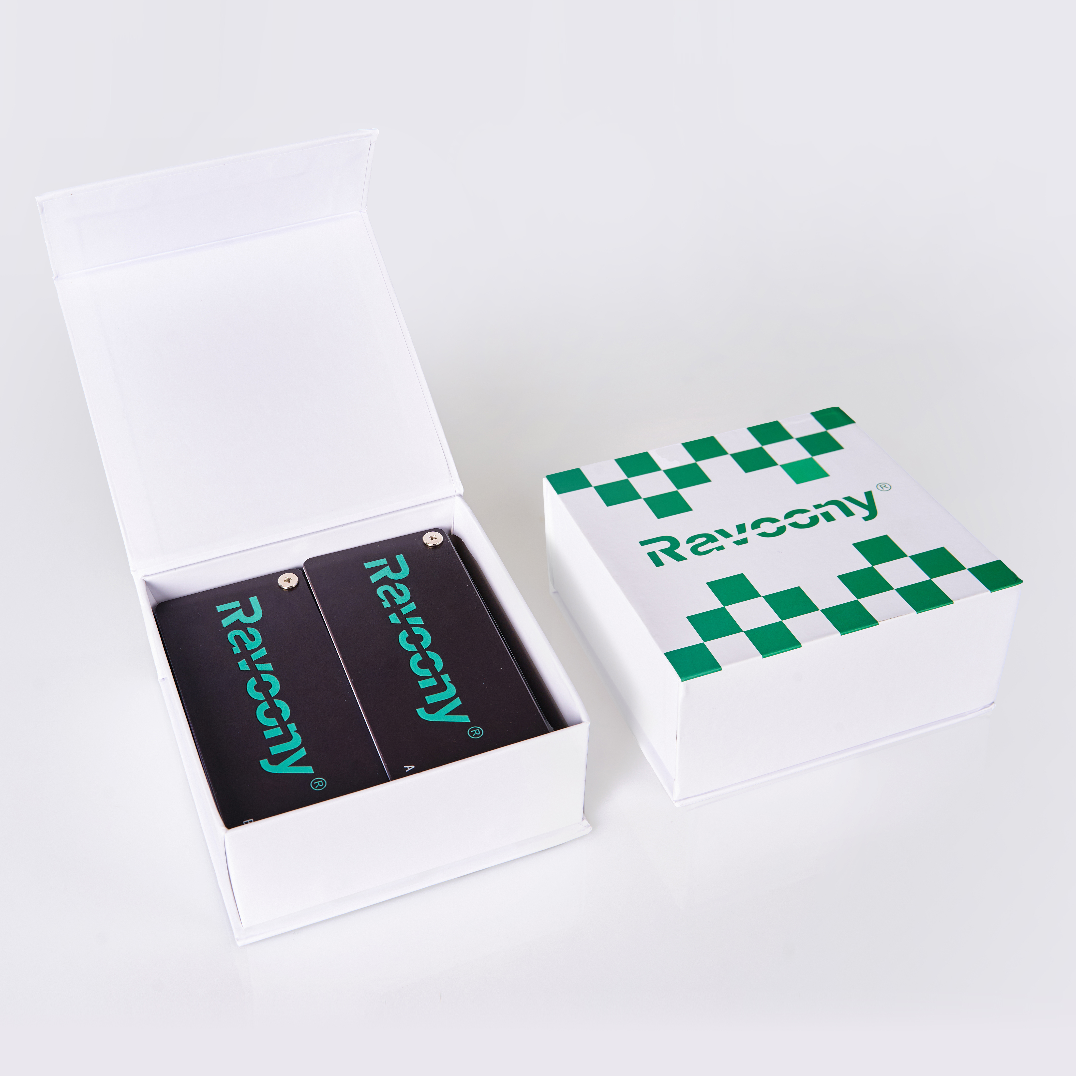 Ravoony Plus New PET Color Swatch 2025