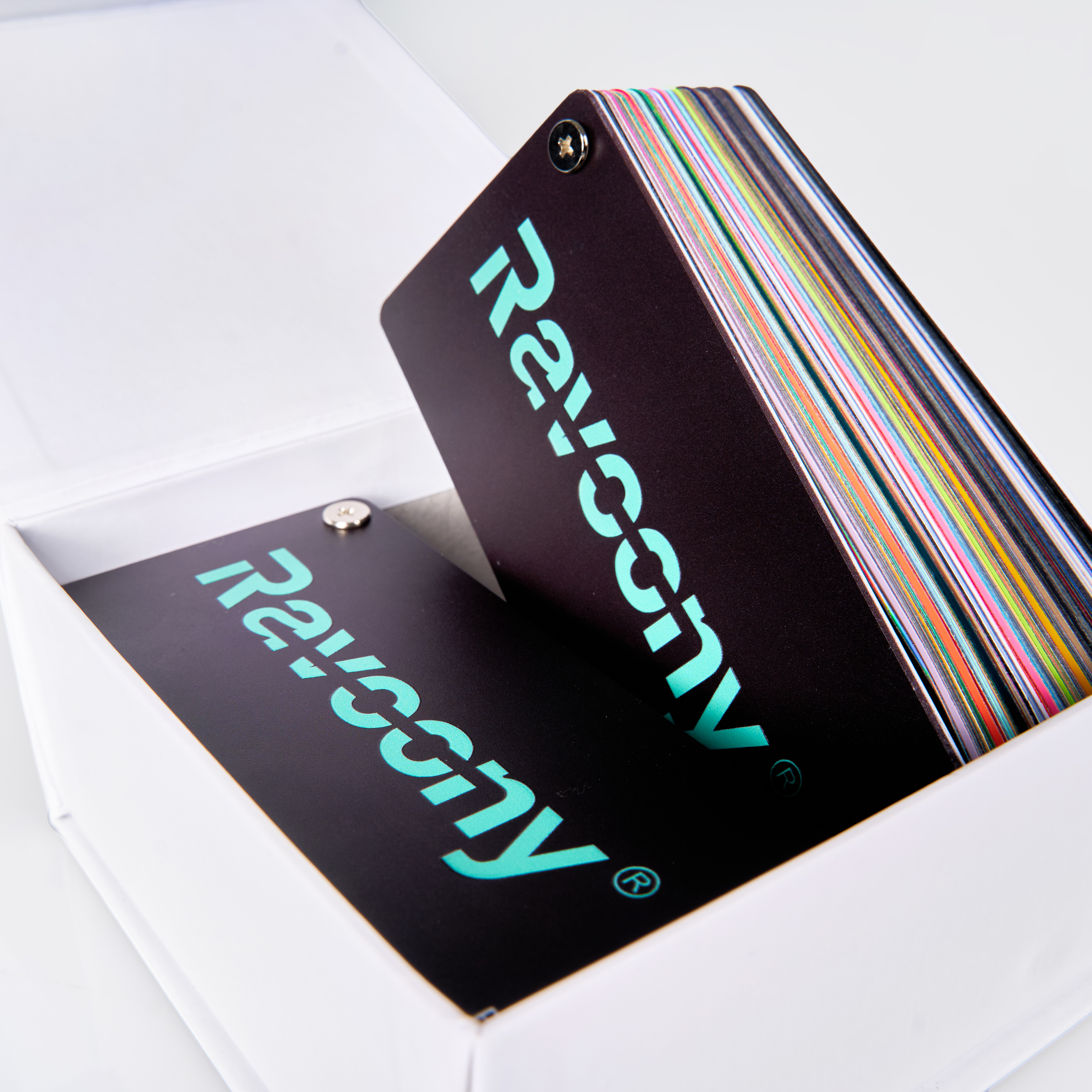 Ravoony Plus New PET Color Swatch 2025