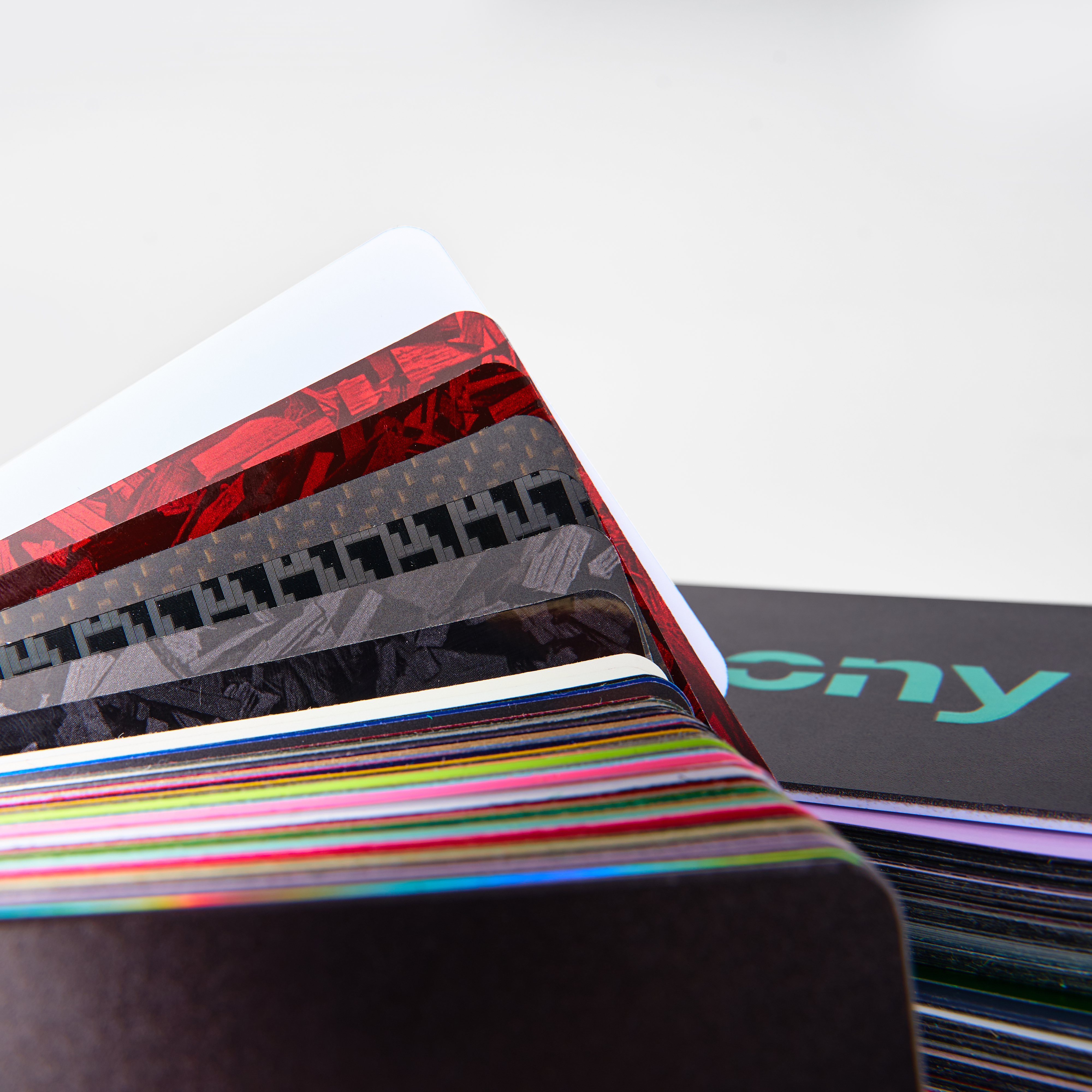 Ravoony Plus New PET Color Swatch 2025