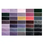 Ravoony Plus New PET Color Swatch 2025