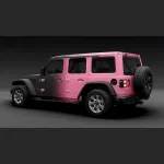 Ravoony Plus Customized Black To Pink Gradient Vinyl Wrap