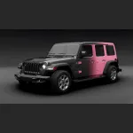 Ravoony Plus Customized Black To Pink Gradient Vinyl Wrap