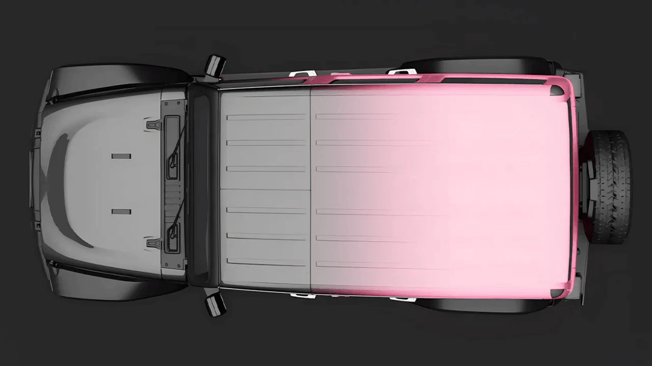 Ravoony Plus Customized Black To Pink Gradient Vinyl Wrap
