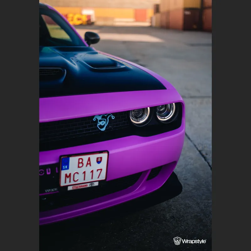 Ravoony Plus Customized Pink Blue Gradient Vinyl Wrap
