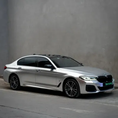 Ravoony Plus Matte Chrome Alexander Silver Metallic Vinyl Wrap 02
