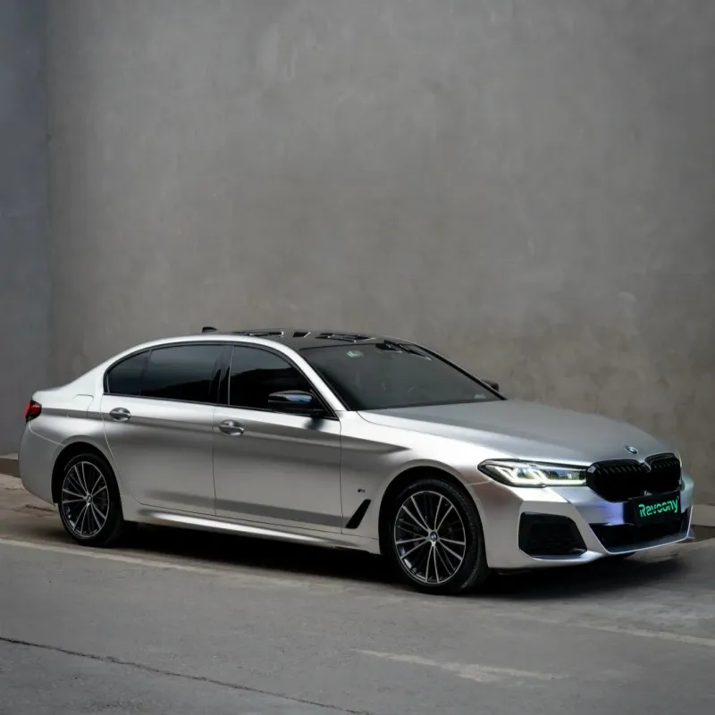 Ravoony Plus Matte Chrome Alexander Silver Metallic Vinyl Wrap