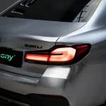 Ravoony Plus Matte Chrome Alexander Silver Metallic Vinyl Wrap