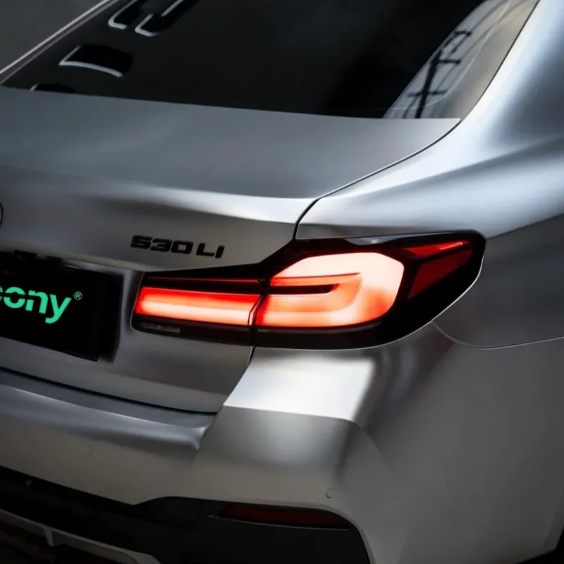 Ravoony Plus Matte Chrome Alexander Silver Metallic Vinyl Wrap