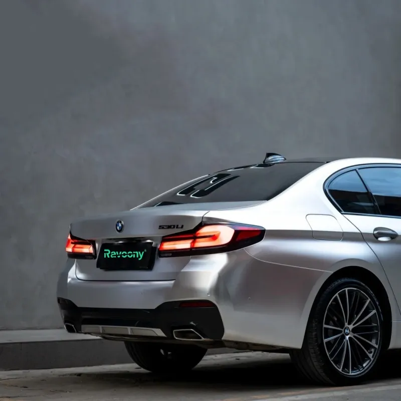 Ravoony Plus Matte Chrome Alexander Silver Metallic Vinyl Wrap