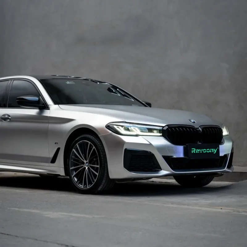 Ravoony Plus Matte Chrome Alexander Silver Metallic Vinyl Wrap