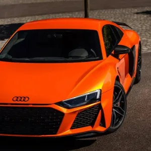 Ravoony Plus Burnt Orange Car Wrap