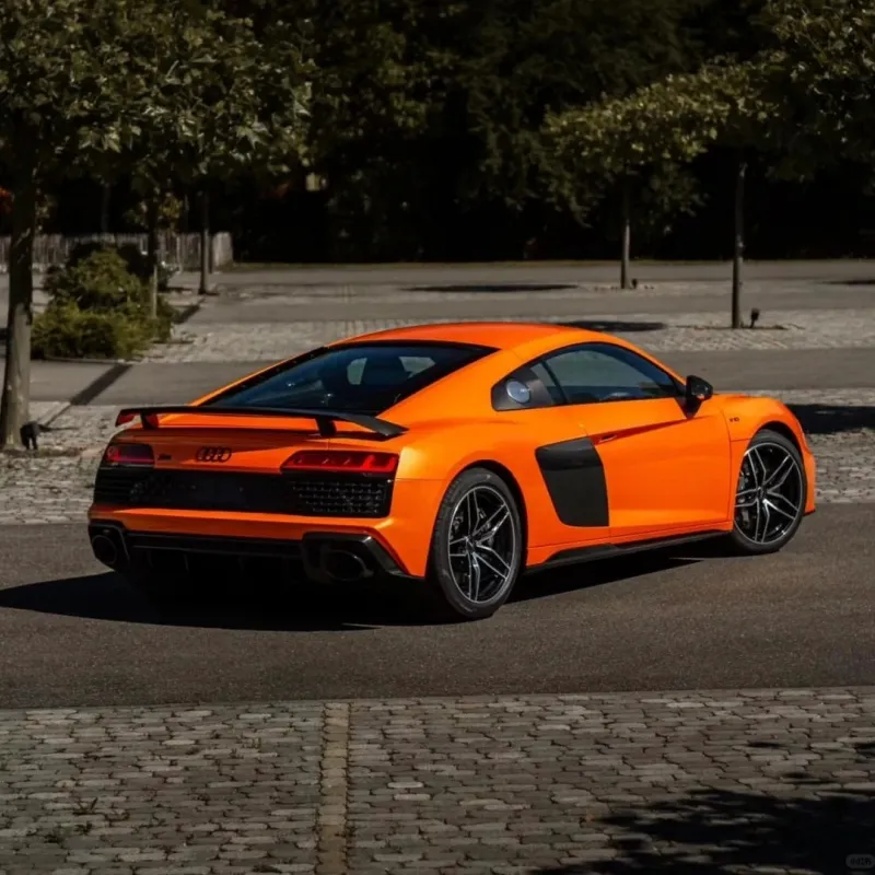 Ravoony Plus Burnt Orange Car Wrap