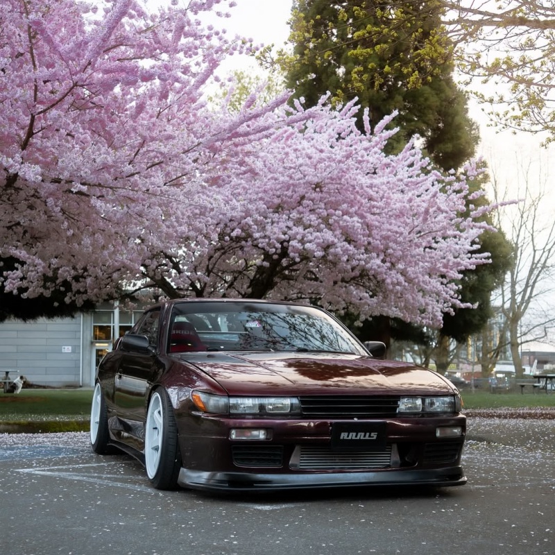 Ravoony Plus Gloss Black Rose Vinyl Wrap