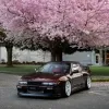 Ravoony Plus Gloss Black Rose Vinyl Wrap