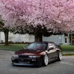 Ravoony Plus Gloss Black Rose Vinyl Wrap
