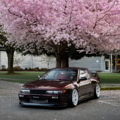 Ravoony Plus Gloss Black Rose Vinyl Wrap 01
