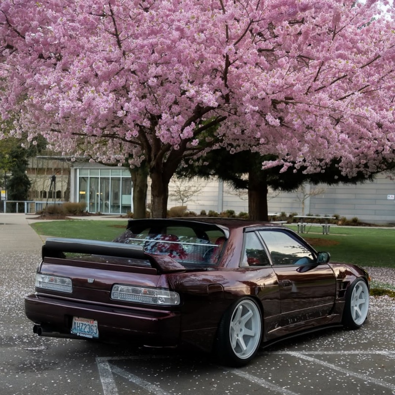 Ravoony Plus Gloss Black Rose Vinyl Wrap