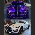 Black Car Stipes Decals DIY Design