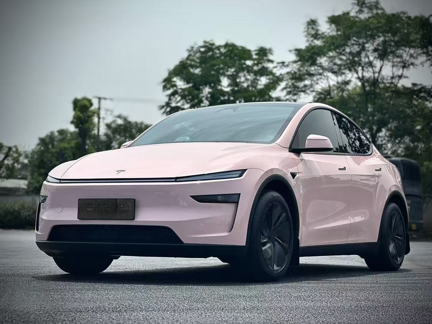 Ravoony Pro TPU Gloss Cherry Pink PPF Film