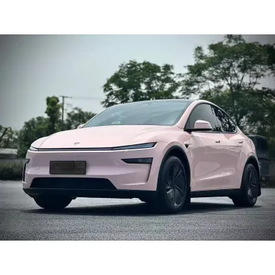 Ravoony Pro Glossy Baby Pink TPU Paint Protection Film 01