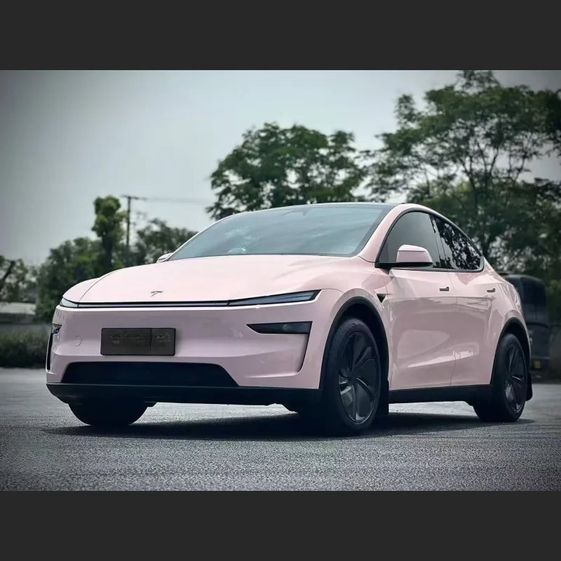 Ravoony Pro Glossy Baby Pink TPU Paint Protection Film