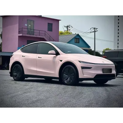 Ravoony Pro Glossy Baby Pink TPU Paint Protection Film 02