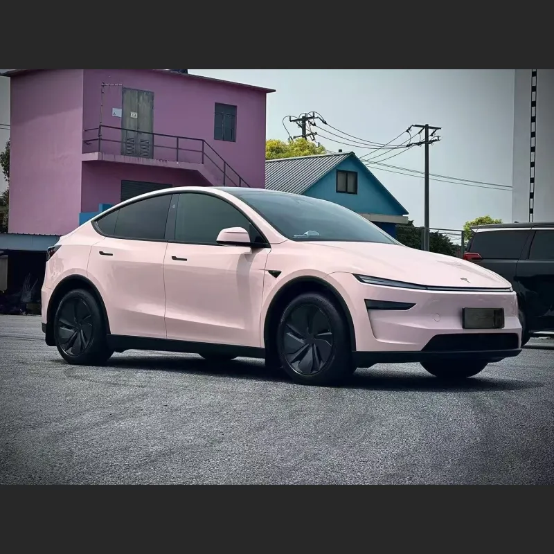 Ravoony Pro Glossy Baby Pink TPU Paint Protection Film