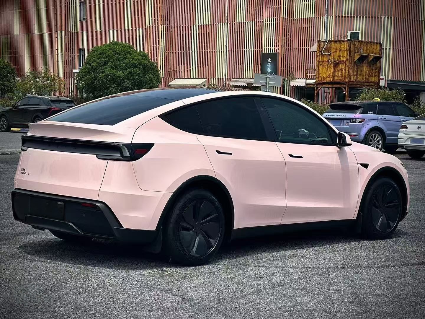 Ravoony Pro TPU Gloss Cherry Pink PPF Film