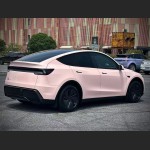 Ravoony Pro TPU Gloss Cherry Pink PPF Film