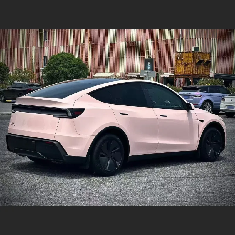 Ravoony Pro Glossy Baby Pink TPU Paint Protection Film