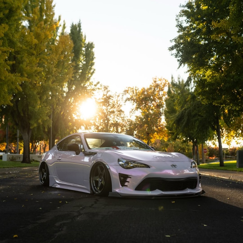 Ravoony Plus Glossy Flower Pink Car Wrap