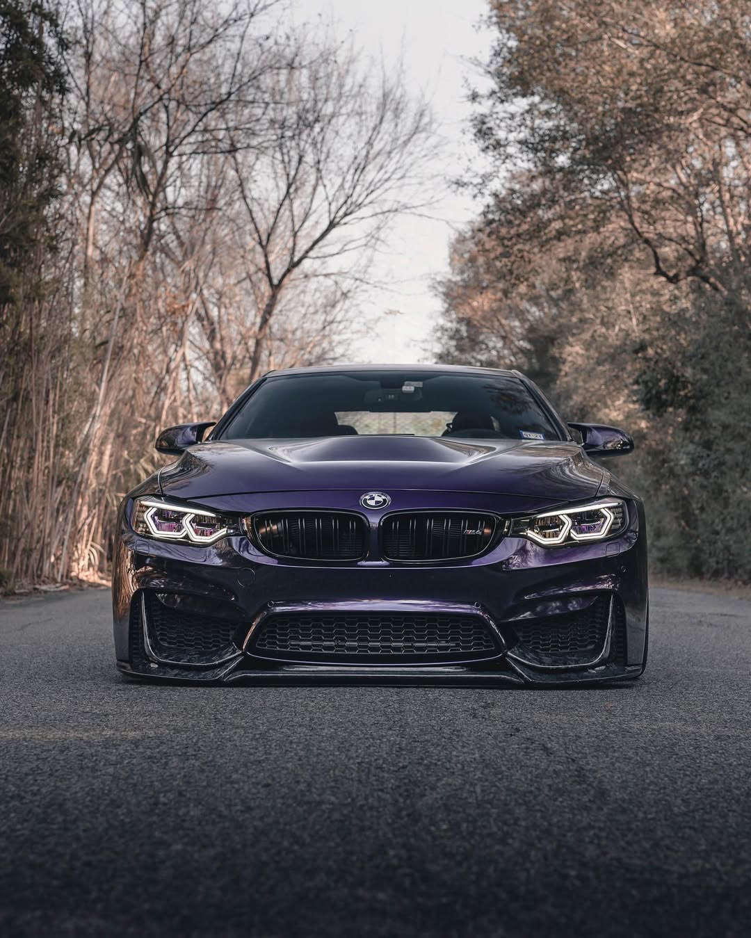 Ravoony Pro TPU Gloss Ghost Midnight Purple PPF Film