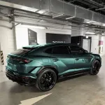 Ravoony Basic Metallic Ryan Green Car Wrap