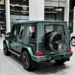 Ravoony Basic Metallic Ryan Green Car Wrap