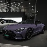 Ravoony Basic Gloss Spiritual Realm Purple Car Wrap