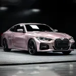Ravoony Plus Glossy Frozen Berry Wrap