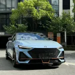 Ravoony Plus Twin Candy Grey Cyanine Wrap