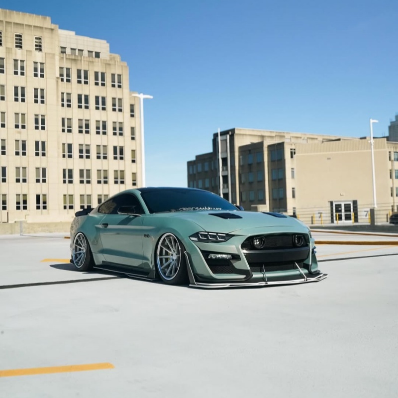  Ravoony Plus Twin Candy Green Gold Car Wrap