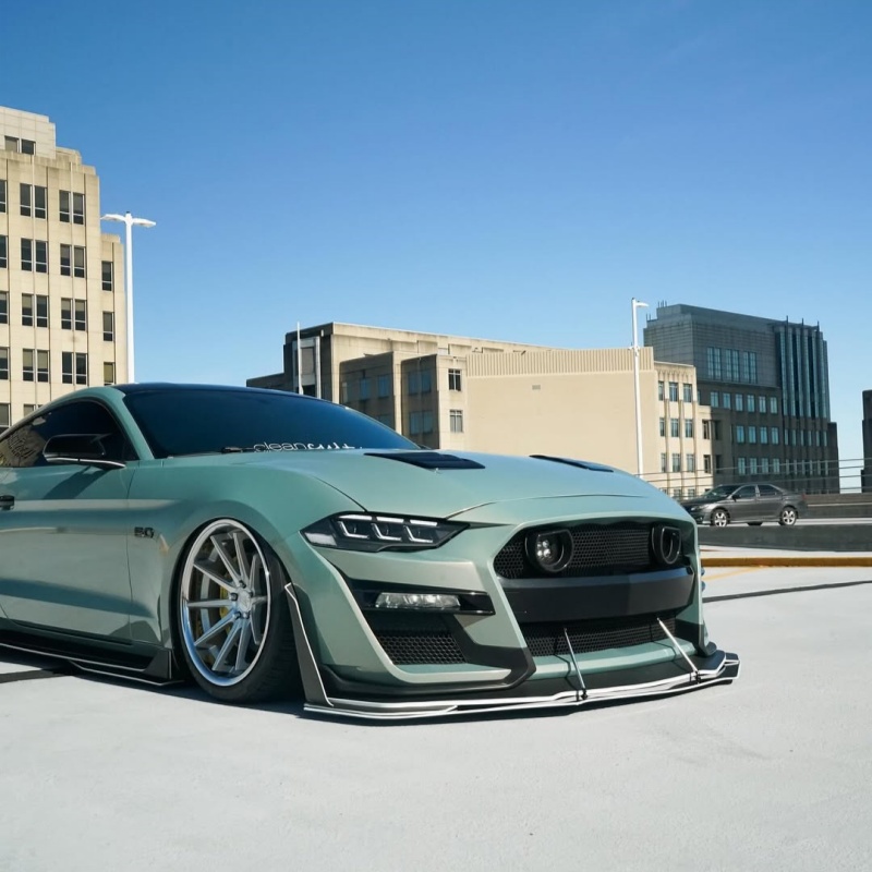  Ravoony Plus Twin Candy Green Gold Car Wrap