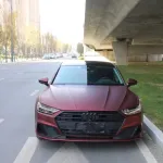 Ravoony Basic Ultra Matte Romanee Red Vinyl Car Wrap