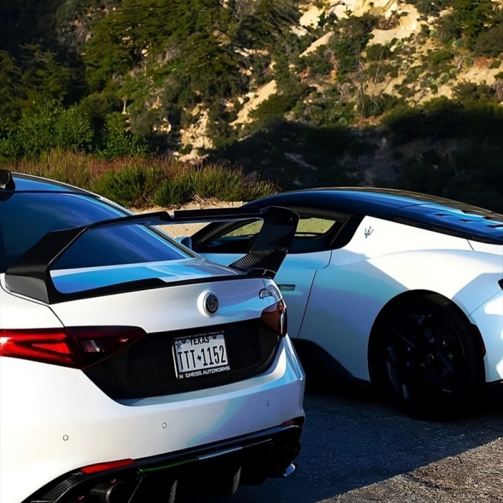 DIY Custom - Ravoony Plus Matte 3D Carbon Black Vinyl Wrap