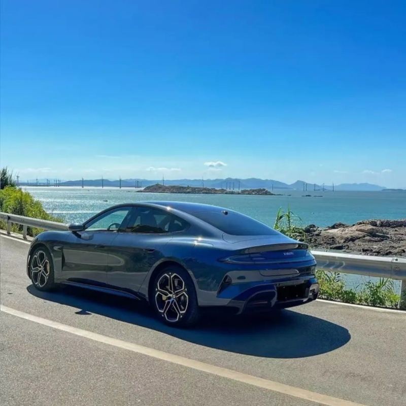 Ravoony Plus PET Gloss Metallic Cambrian Gray Wrap