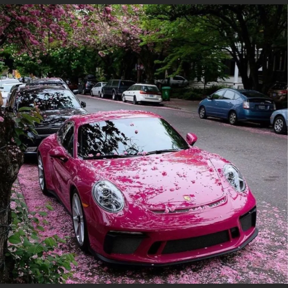 Ravoony Plus Gloss Star Ruby Car Vinyl Wrap