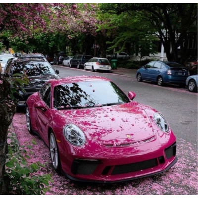 Ravoony Plus PET Gloss Star Ruby Car Vinyl Wrap 02