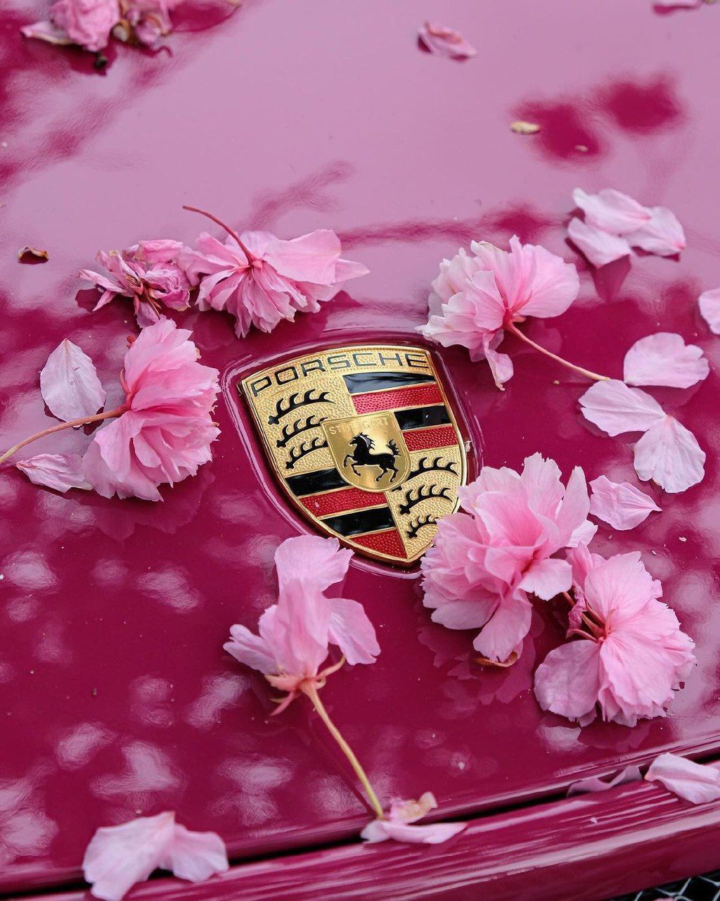 Ravoony Plus PET Gloss Star Ruby Car Vinyl Wrap