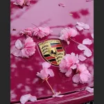 Ravoony Plus Gloss Star Ruby Car Vinyl Wrap
