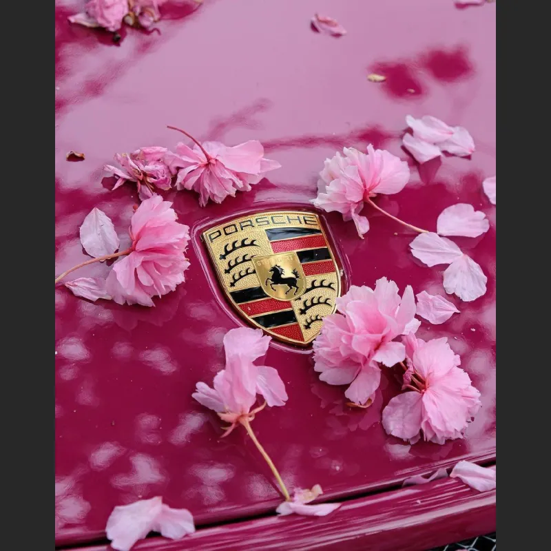 Ravoony Plus Gloss Star Ruby Car Vinyl Wrap