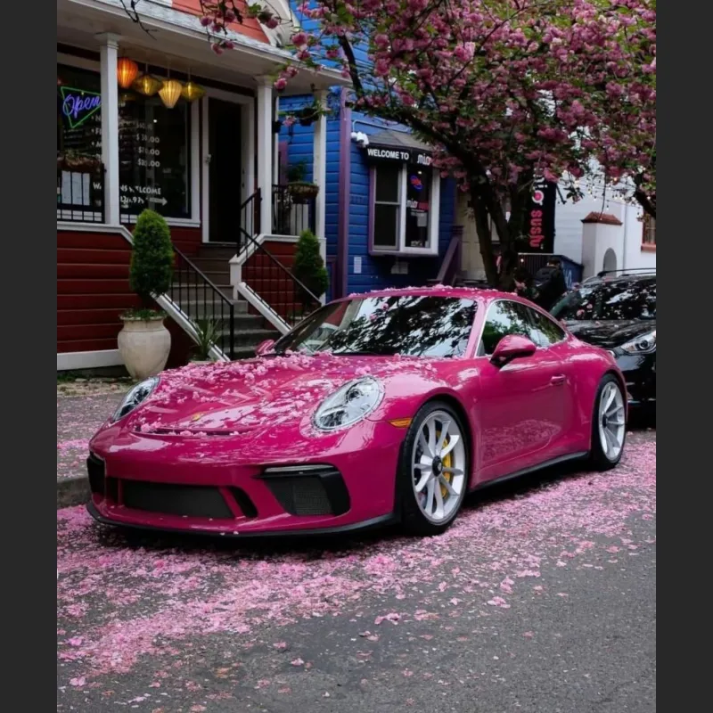 Ravoony Plus Gloss Star Ruby Car Vinyl Wrap