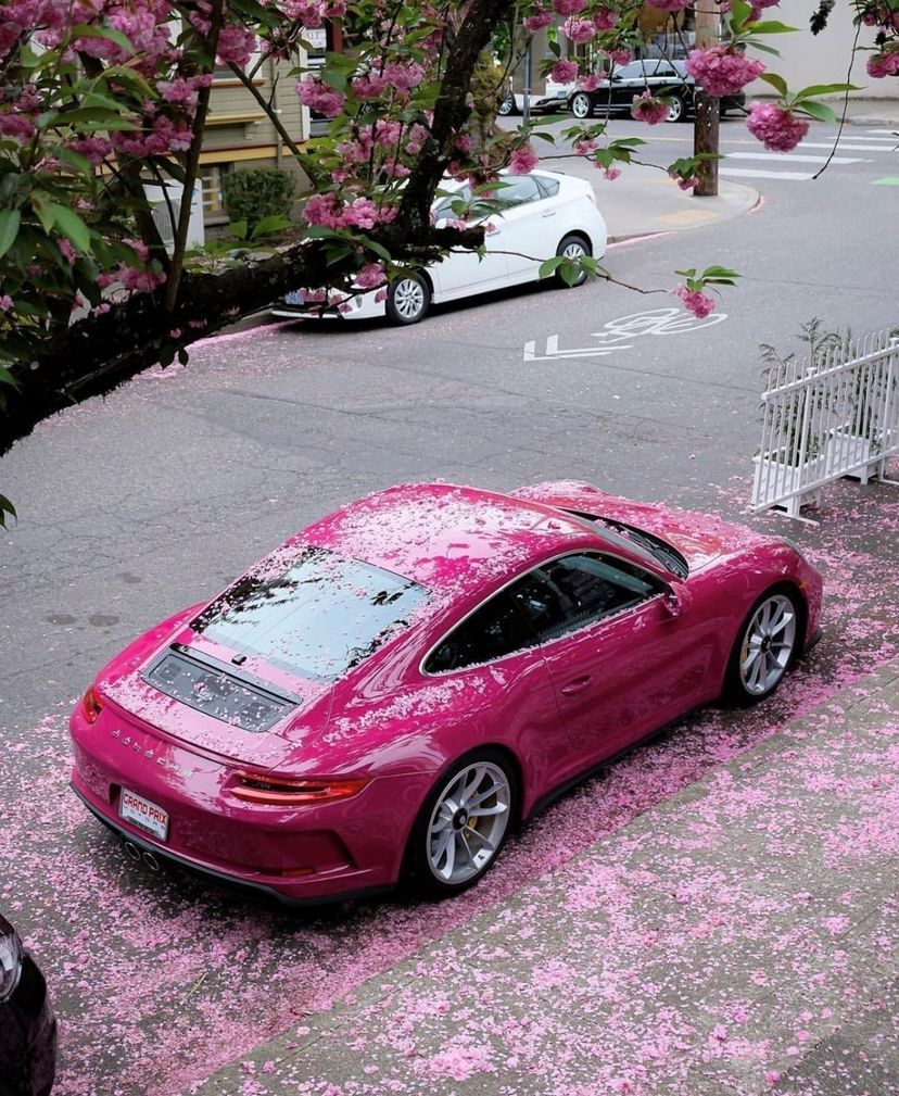 Ravoony Plus PET Gloss Star Ruby Car Vinyl Wrap