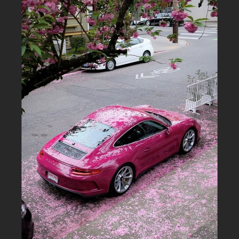 Ravoony Plus Gloss Star Ruby Car Vinyl Wrap